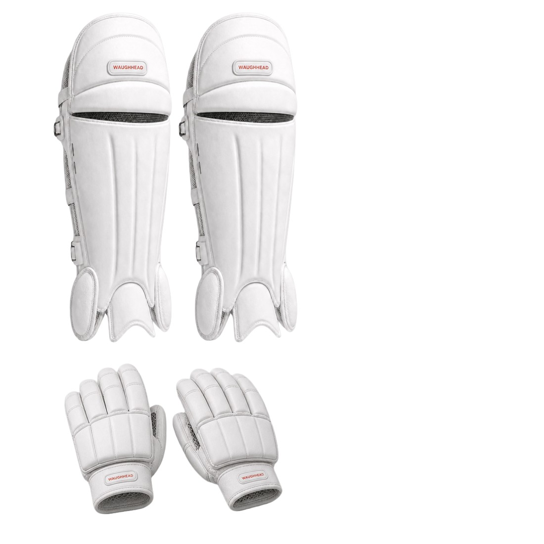 WaughHead cricket pads and gloves